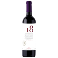 Botella vino 18 Carmenere